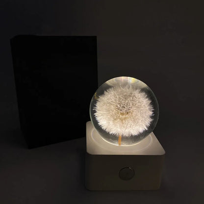 Small clear dome desktop night light with a preserved dandelion and sunflower inside, illuminated softly.
