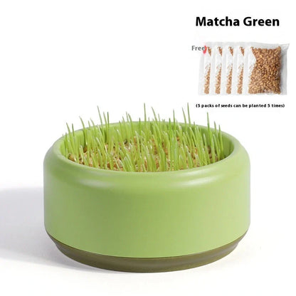 Blue hydroponic cat grass kit with growing cup and seed packets for soilless indoor planting