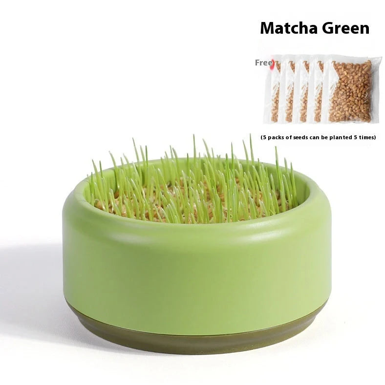 Blue hydroponic cat grass kit with growing cup and seed packets for indoor planting