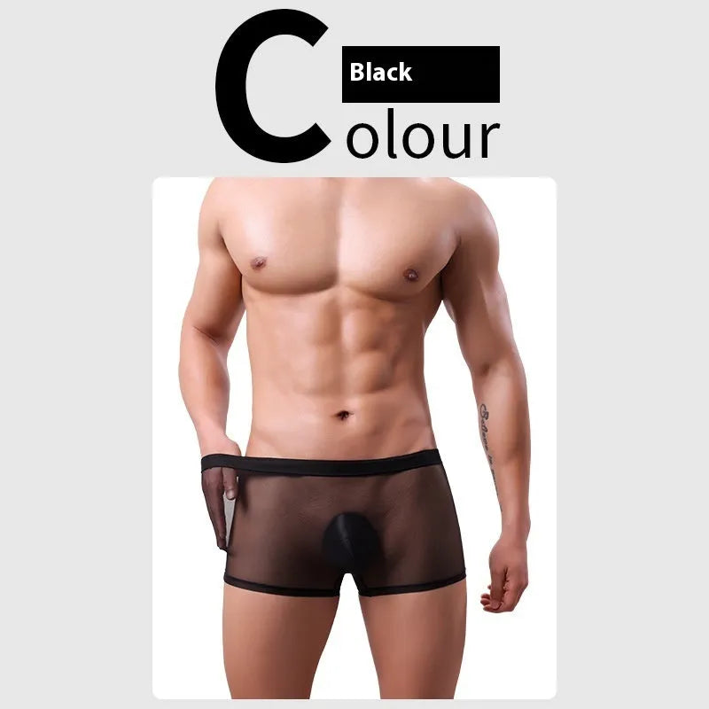 Men's thin sheer mesh boxer briefs in multiple colours on a white background.