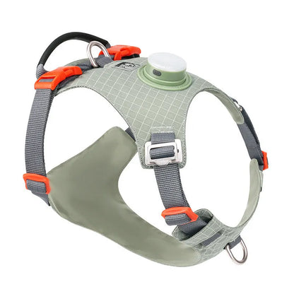 Nylon dog chest harness with LED light on a dog, shown in assorted colours including light purple, green, and black.