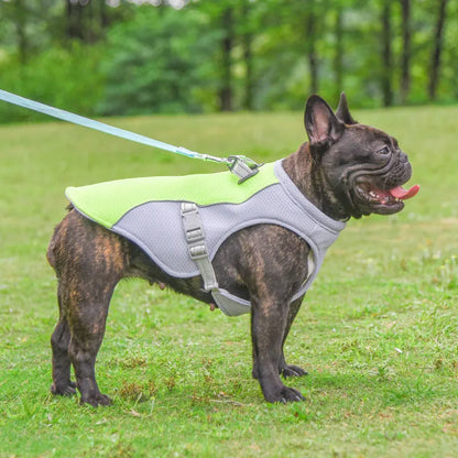 Orange polyester dog cooling vest showing layered construction and adjustable fit on a medium-sized dog.