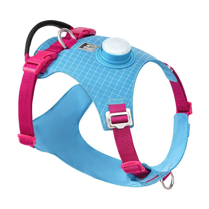 Nylon dog chest harness with LED light on a dog, shown in assorted colours including light purple, green, and black.