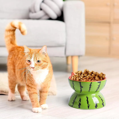 Ceramic raised cat bowl with tilted design in fruit pattern colours