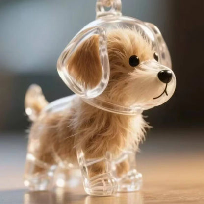 Transparent 10cm acrylic box with hanging cord for puppy fur keepsake storage