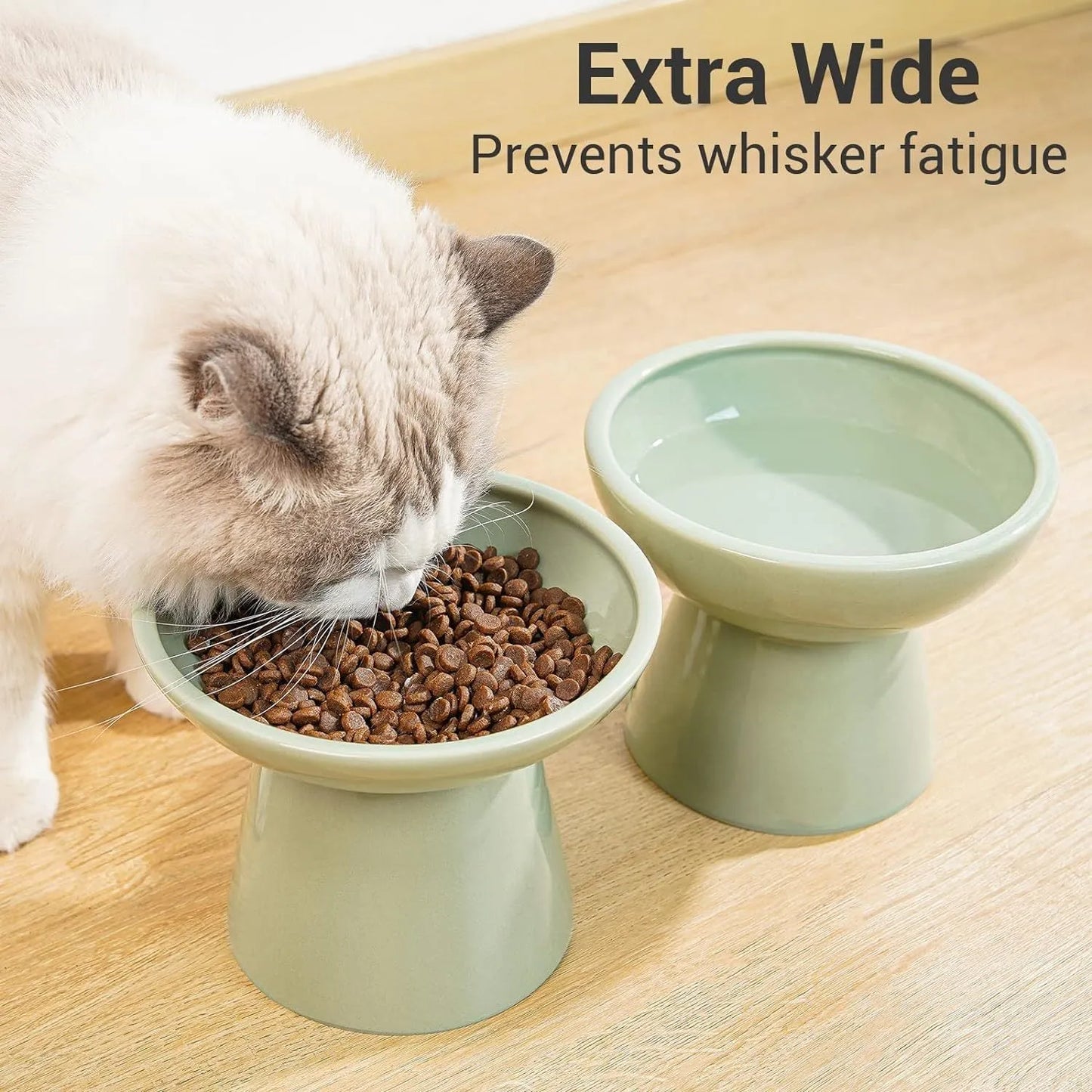 Elevated wide shallow ceramic cat food and water bowl in blue, green, pink, or white colour options.