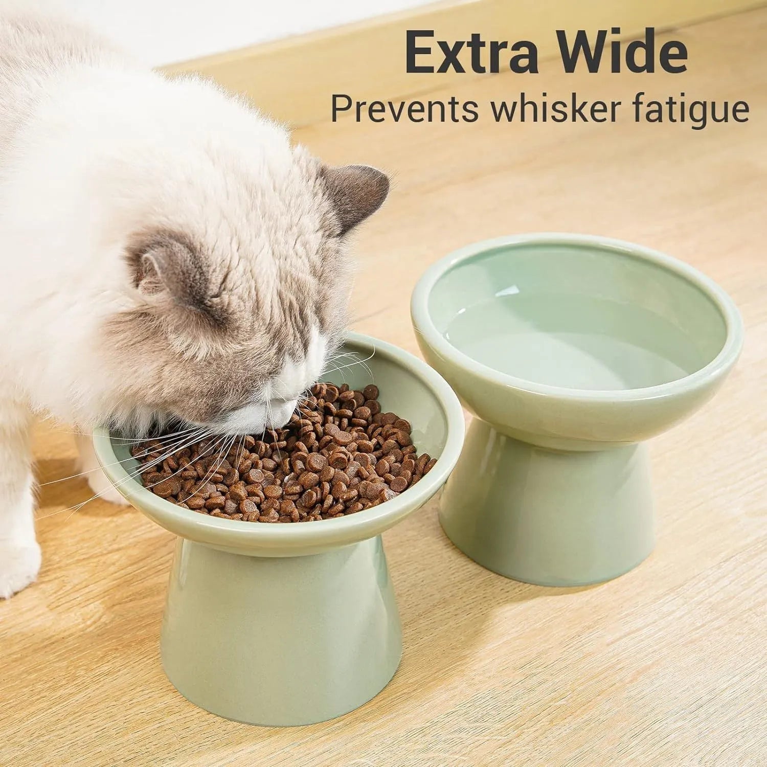 Elevated wide shallow ceramic cat food and water bowl in blue, green, pink, or white colour options.
