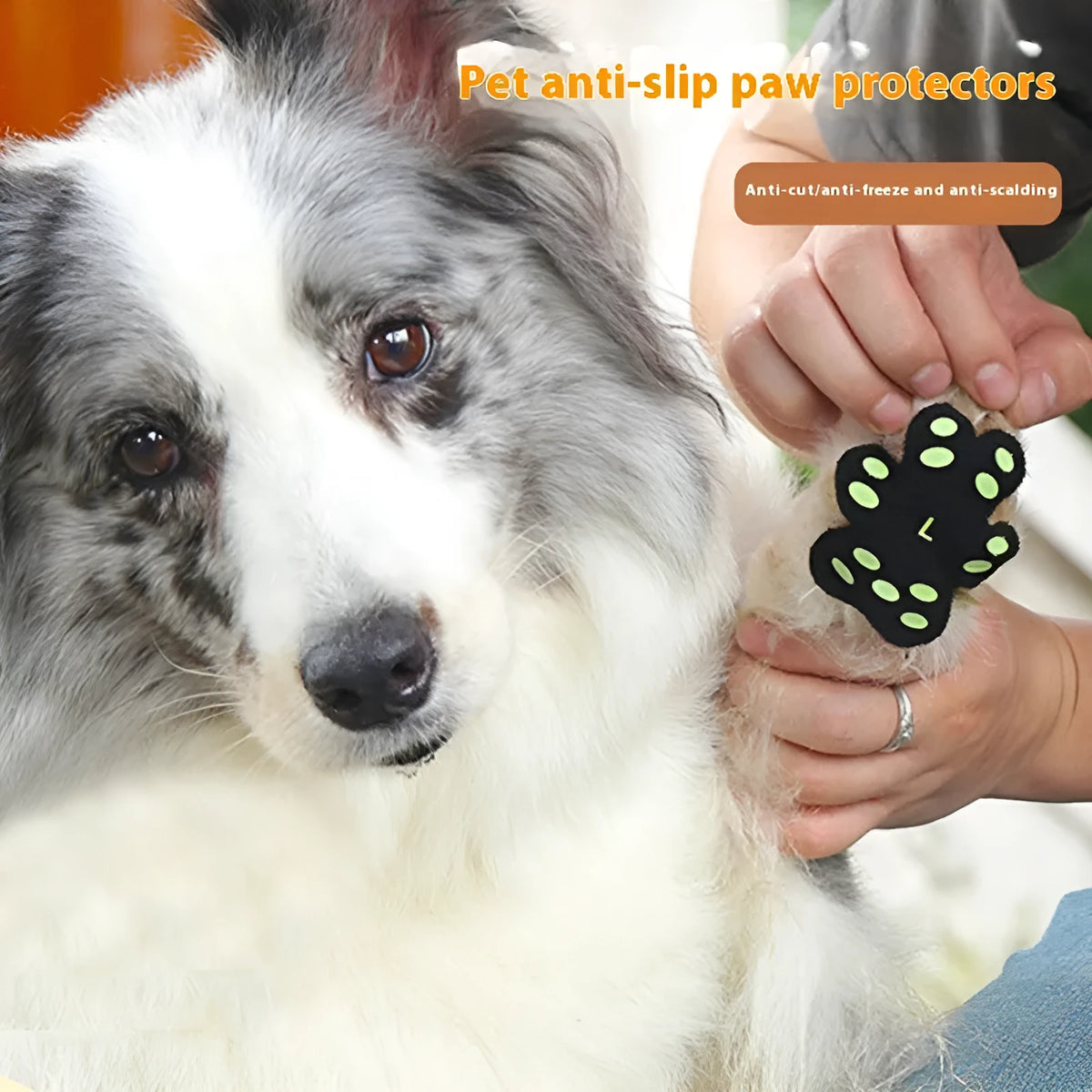 Pack of eight breathable silicone cloth claw protection footstickers for dogs, in S or M size.