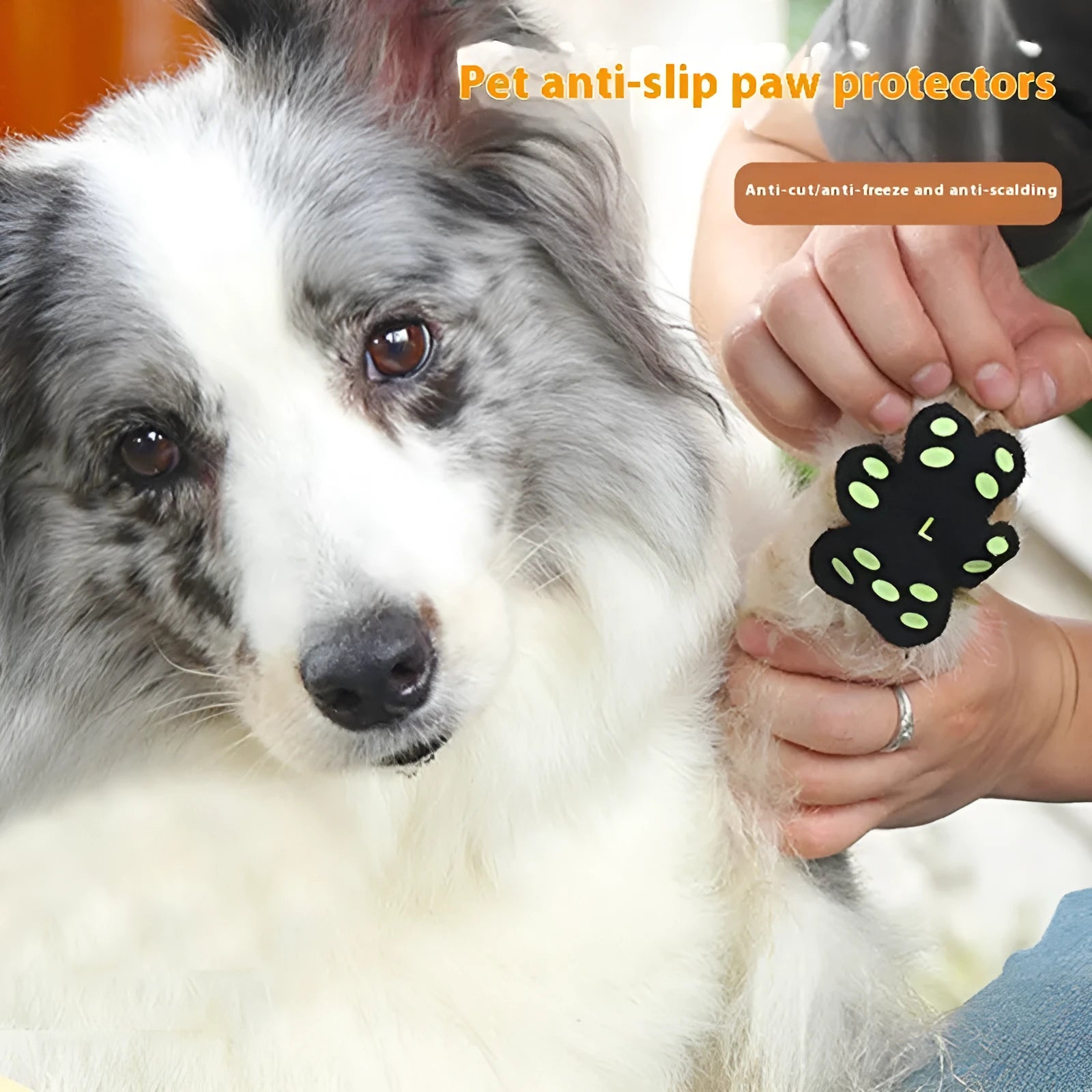 Pack of eight breathable silicone cloth claw protection footstickers for dogs, in S or M size.