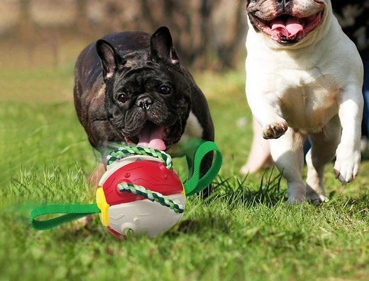 Transforming dog toy that can switch between a ball and frisbee shape, featuring durable construction and interactive play features