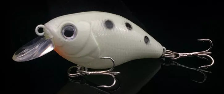 5-piece fishing lure set with vibrant colors for effective minnow road bait