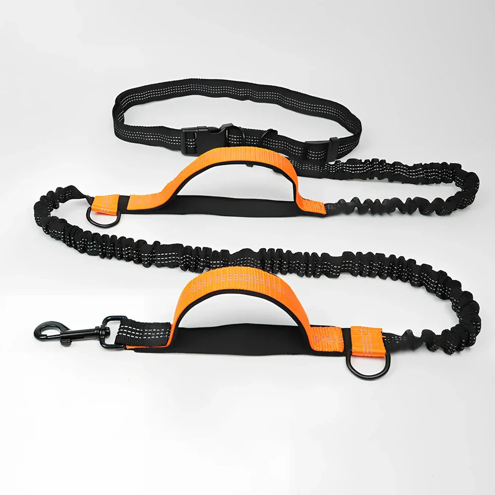 Adjustable fluorescent green nylon pet leash with sliding mechanism showing 150cm length