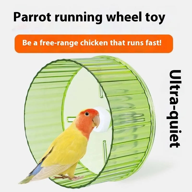 Plastic bird treadmill running wheel toy in transparent, green, grey, orange or purple colours for cage exercise