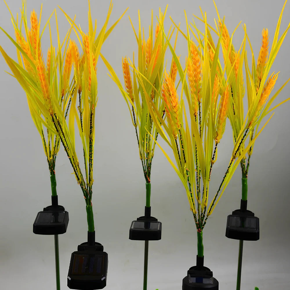 Solar wheat ear garden lamp with seven LED heads and 75mm diameter for outdoor pathway lighting