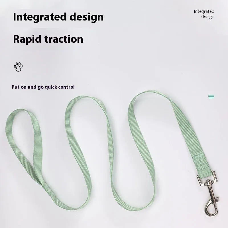 Polyester dog lead with hand-holding rope design in multiple colour options