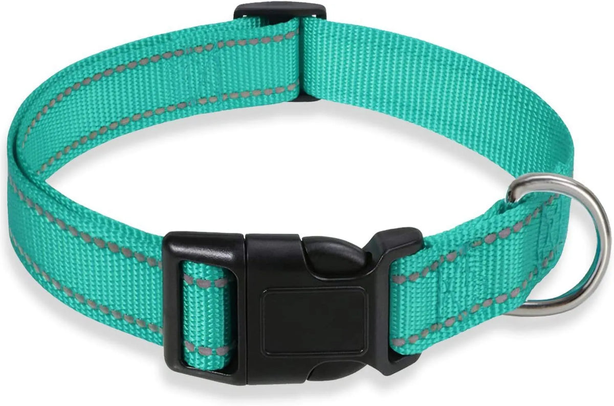 Adjustable nylon dog collar with chest strap in multiple colour options for secure walking