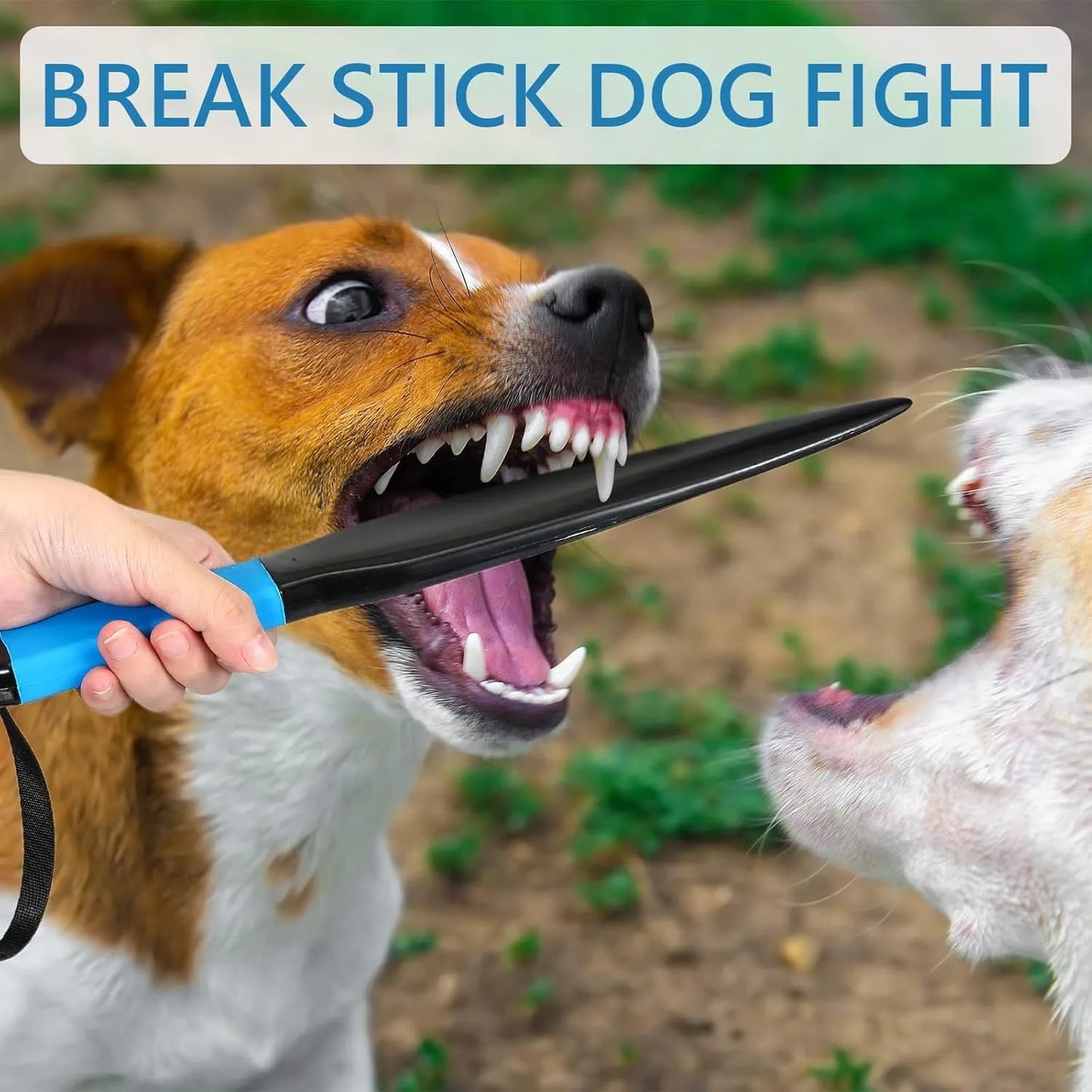 35cm blue-handled dog break stick for bite training with small medium dogs