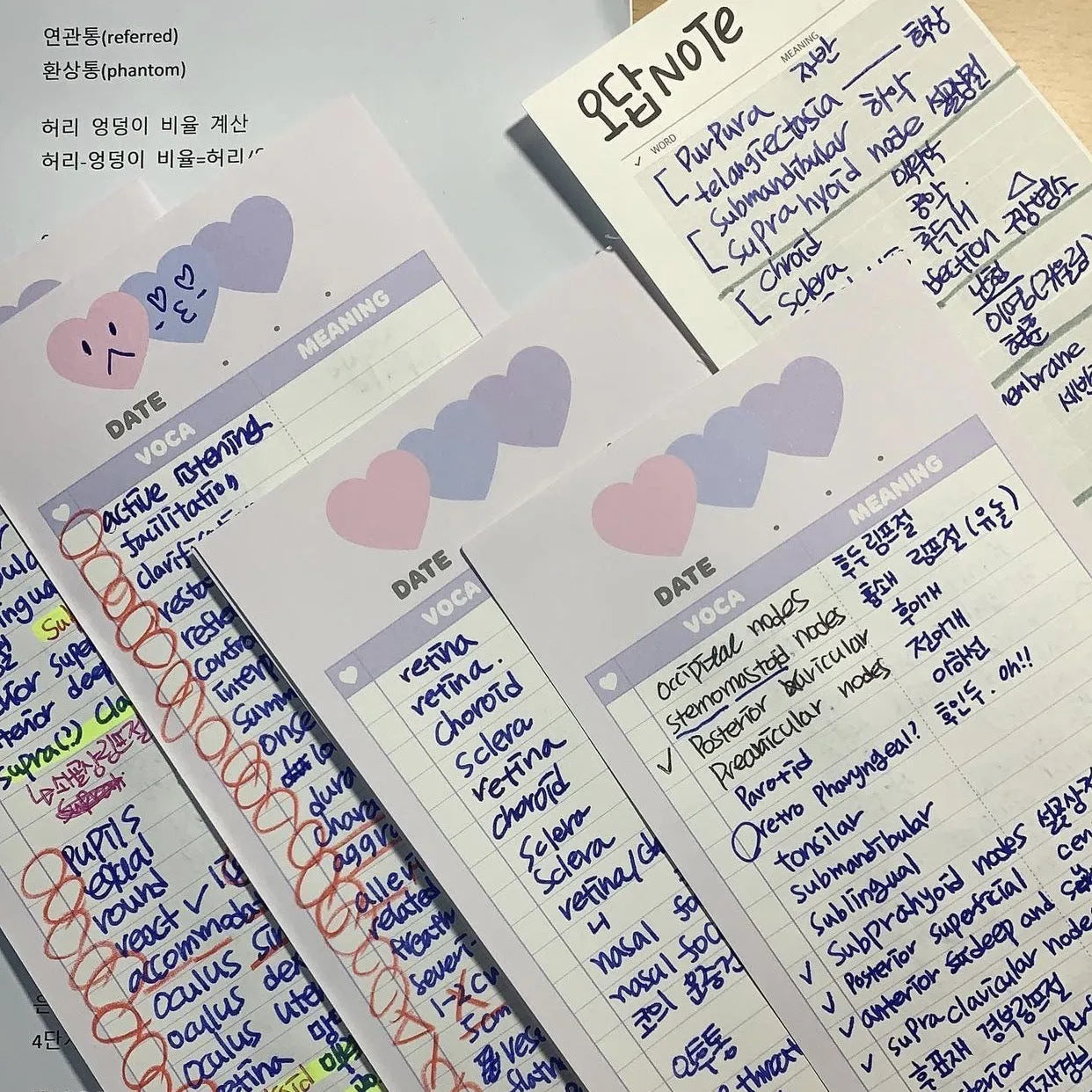 Vertical double-sided learning notepad showing 30 sheets in B5 half size (9.1x25.7cm) for English words practice