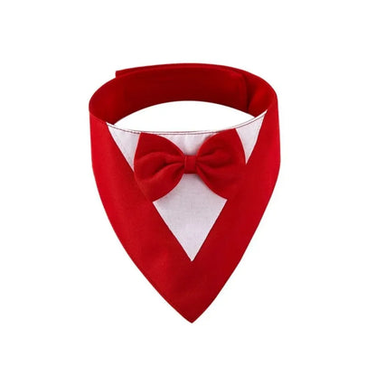 Triangle-shaped pet bib scarf with a bow, shown in a bright colour, displaying the soft fabric and absorbent towelling lining.