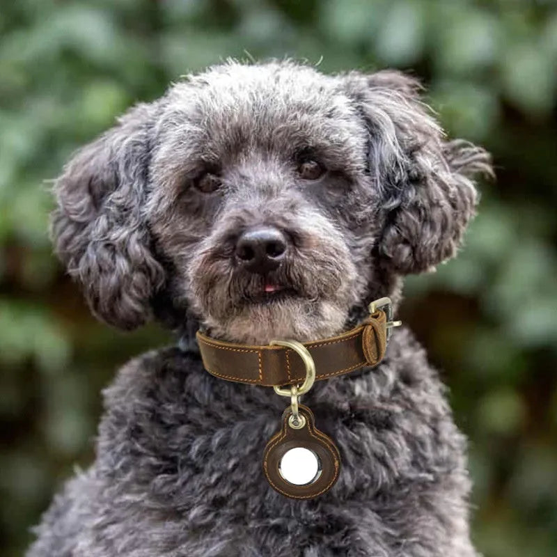 Brown genuine leather dog collar with retro styling and halter positioning system