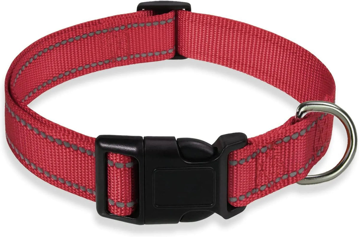 Adjustable nylon dog collar with chest strap in multiple colour options for secure walking