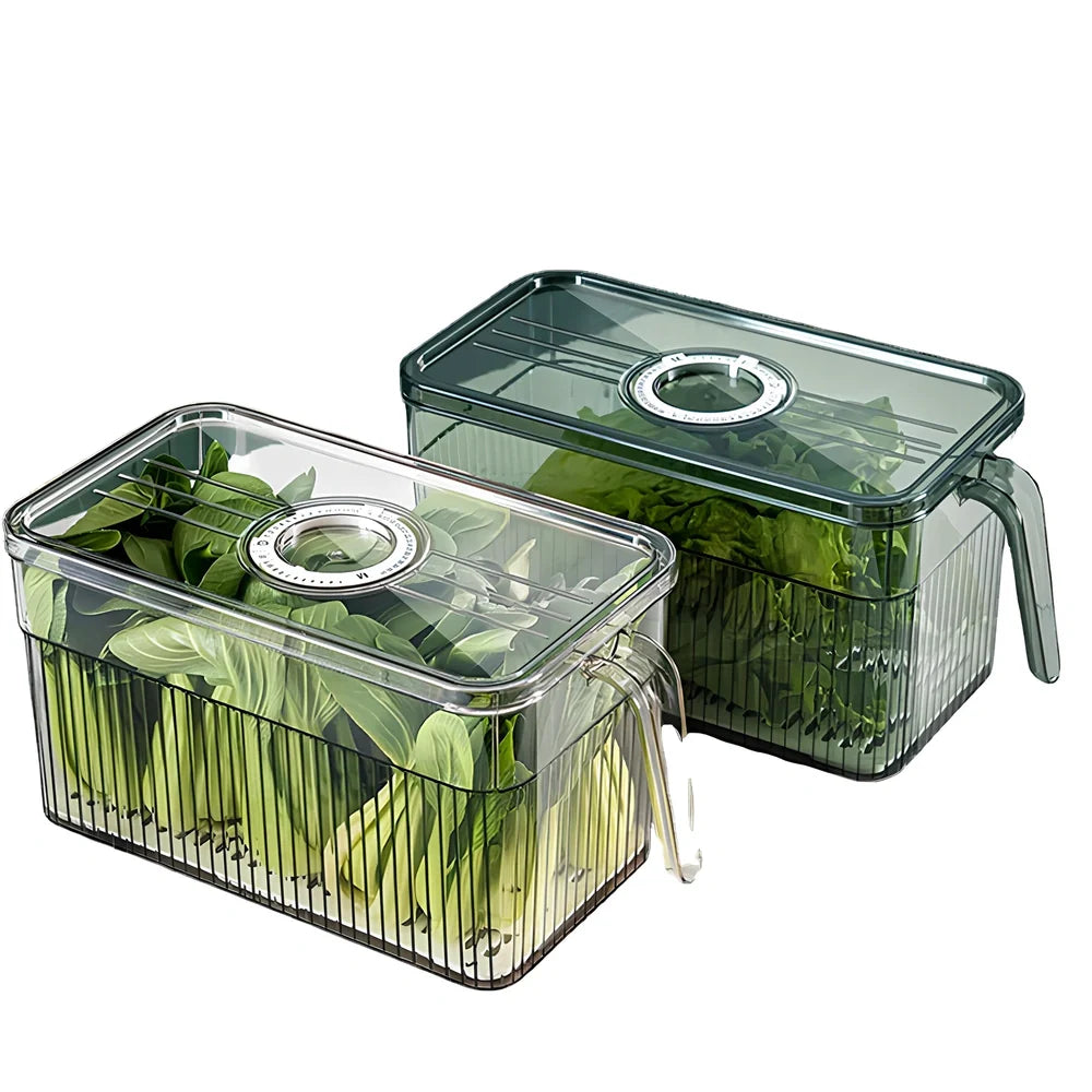 Green plastic food storage box with airtight lid for refrigerator organisation