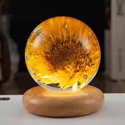 LED Dandelion Crystal Ball Night Light with oak base emitting soft glow