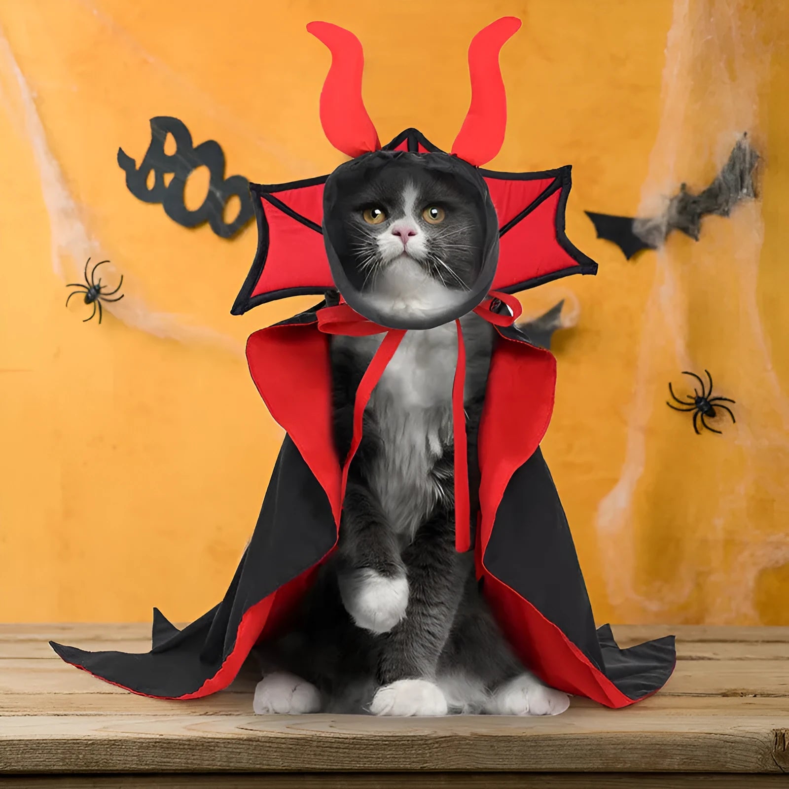 Black polyester vampire cloak and hat costume for a pet dog or cat on Halloween.