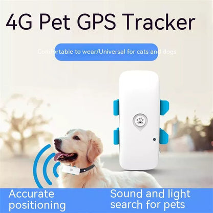 4G Pet Locator GPS Collar with BeiDou tracking for dogs and cats, waterproof design