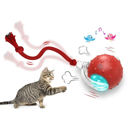 Interactive Cat Toy Ball Super Drive with auto shut-off and three play modes