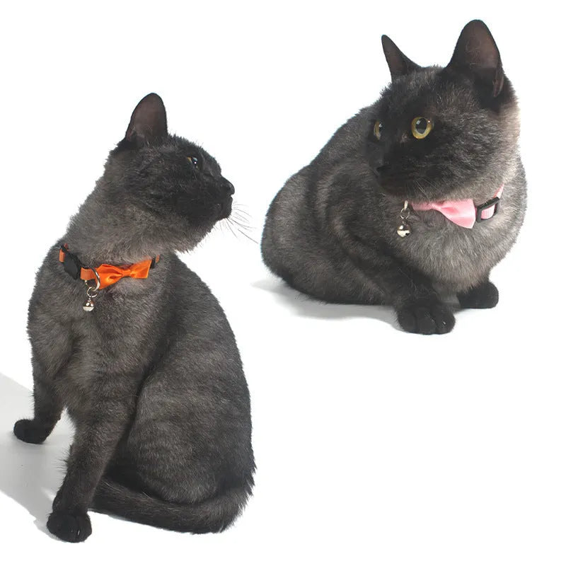 Striped nylon cat collar with decorative bow and bell in multiple colour options on a white background.