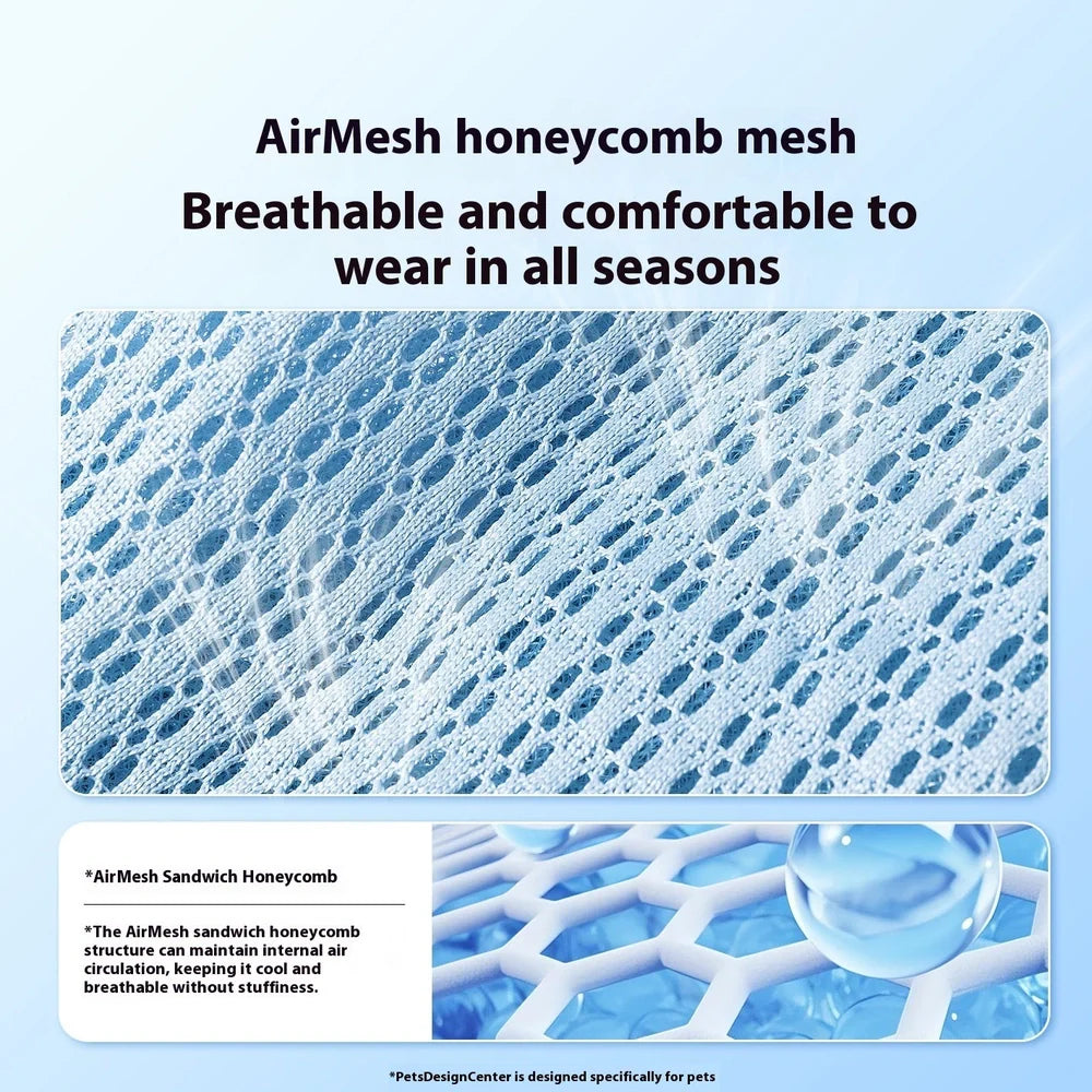 Dog shoes with breathable PU material in Bondi Blue colour showing anti-scald sole protection