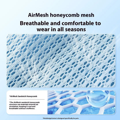 Dog shoes with breathable PU material in Bondi Blue colour showing anti-scald sole protection