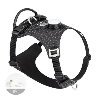 Nylon dog chest harness with LED light on a dog, shown in assorted colours including light purple, green, and black.