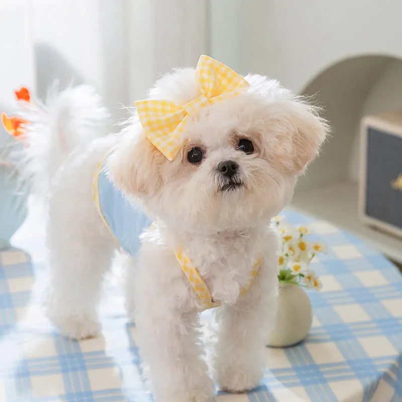Small dog wearing blue elastic vest with suspenders and bow detail, showing stretch fit