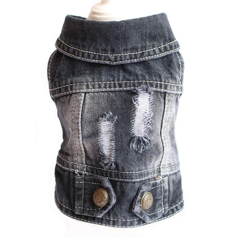 Stylish denim dog jacket with customizable options like hoods, fringes, and patterns for fashionable pet wear