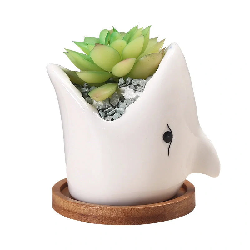 Creative cartoon ceramic succulent pot with drainage hole for healthy plants