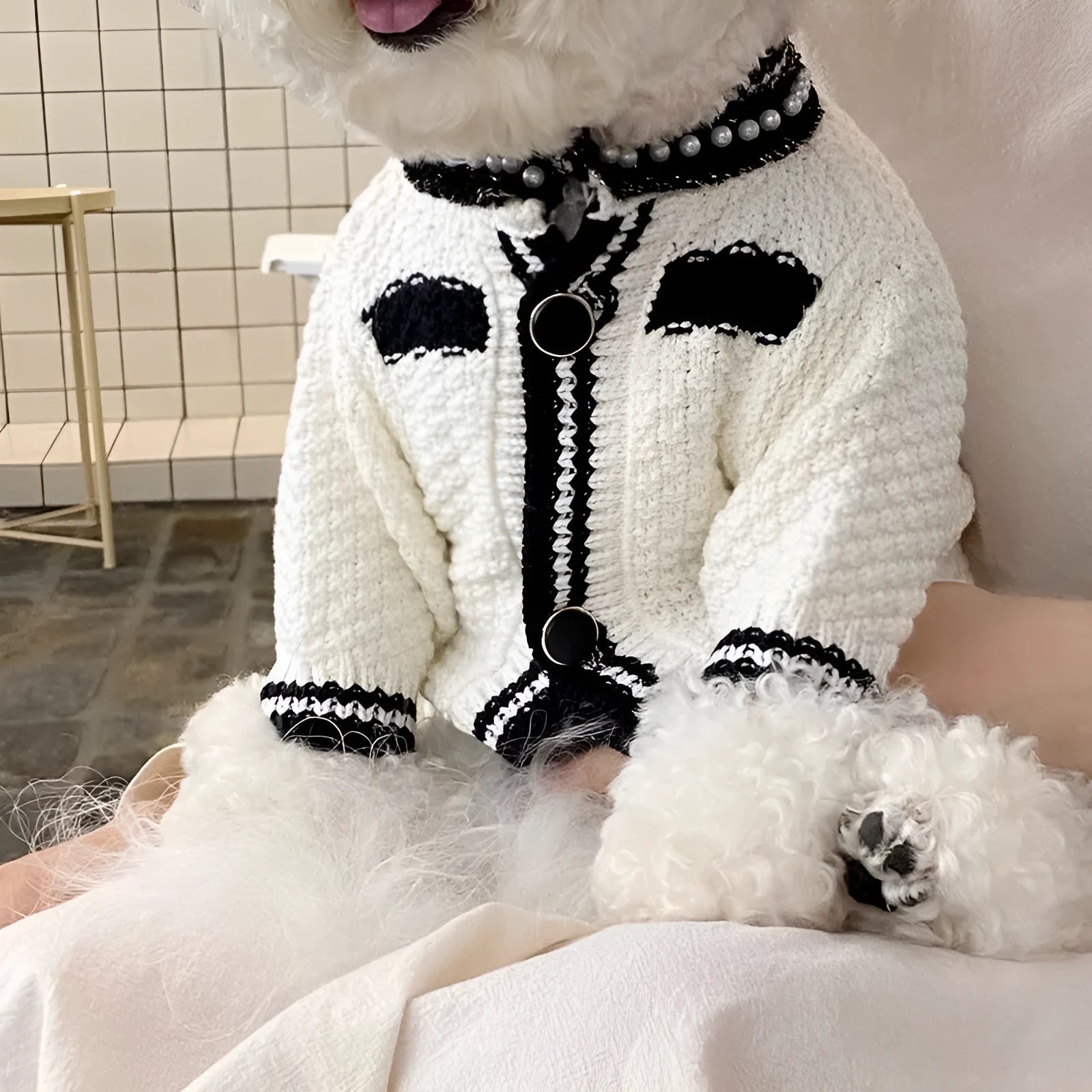 White Korean-style puppy sweater with a pearl collar on a small dog, showing the princess style design.
