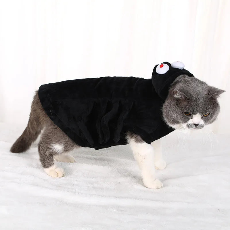 Dog wearing a black spider pattern Halloween costume made from polyester fabric
