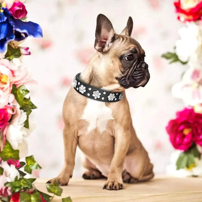PU leather dog collar with rhinestone flower pattern and metal studs, adjustable for small and medium dogs