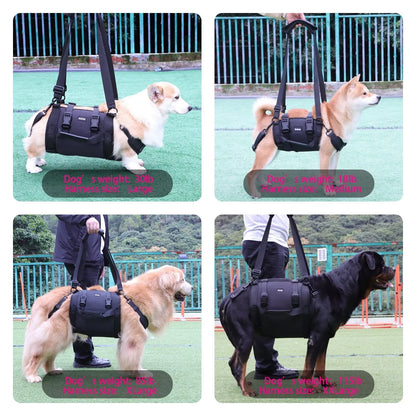 Black Oxford cloth dog harness with leg support design and adjustable chest strap