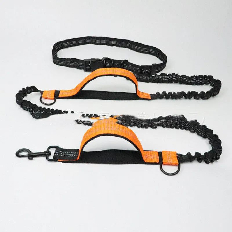 Blue polyester multifunctional dog walking belt and retractable leash shown on a person's waist.