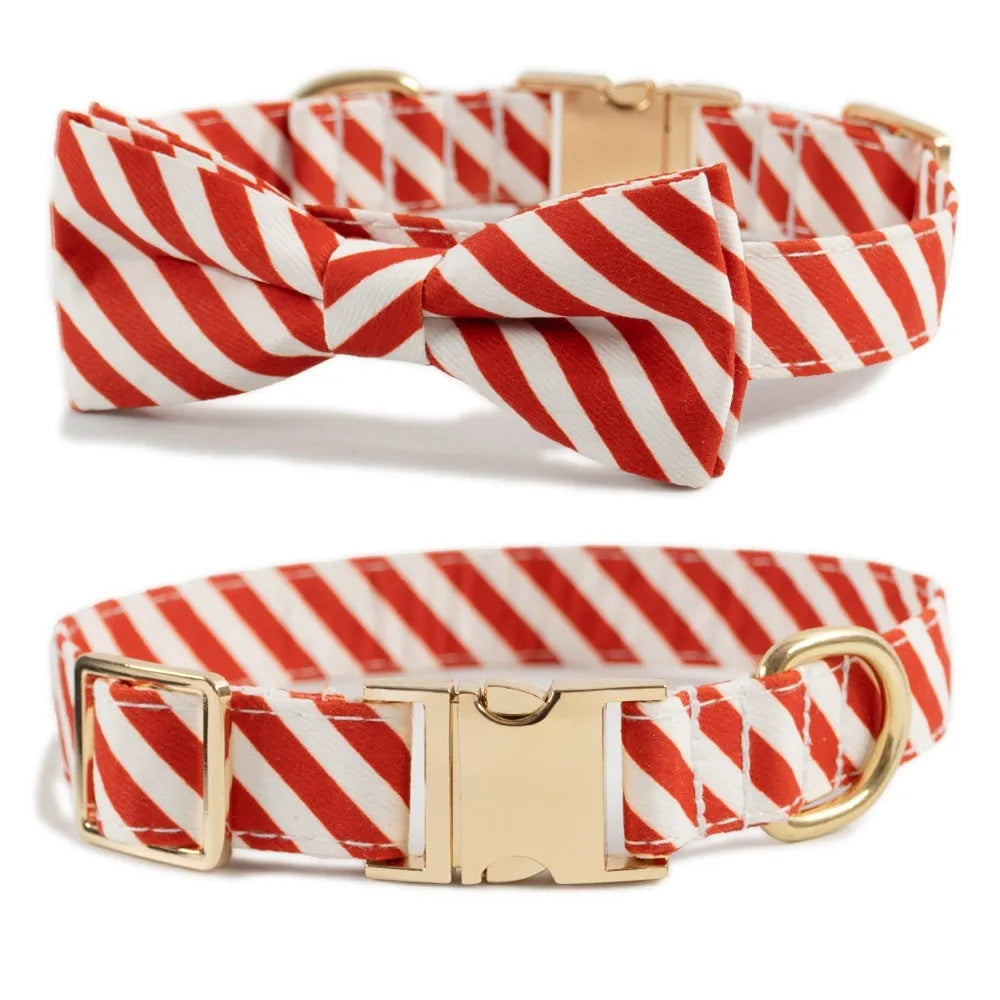 Striped green dog collar with decorative red bow knot showing custom engraving space for pet identification