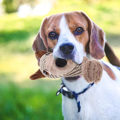 Plush dog squeaky toy with cotton-weave construction for medium and large dogs