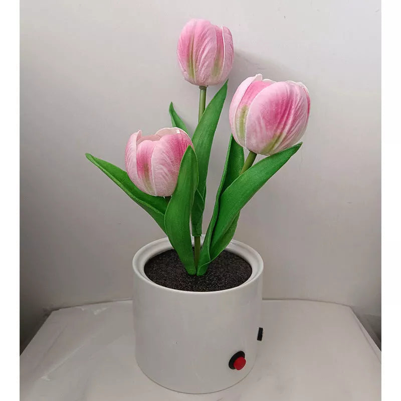 LED Tulip Night Light in ceramic pot with warm glow for home decoration