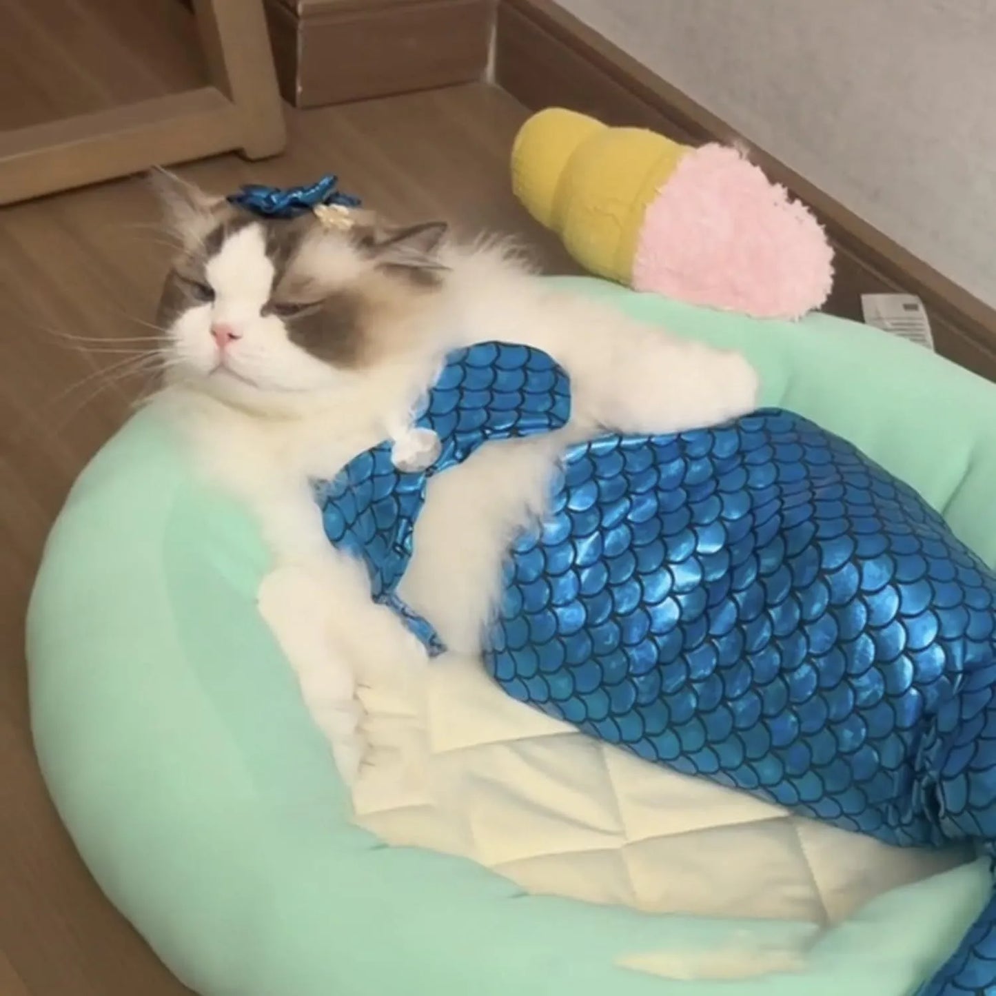 Blue pet mermaid costume with fish tail on a cat, showing scale detail and chest strap.