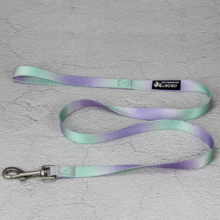 Gradient colour nylon dog leash showing pink-blue colour transition with metal attachment clip