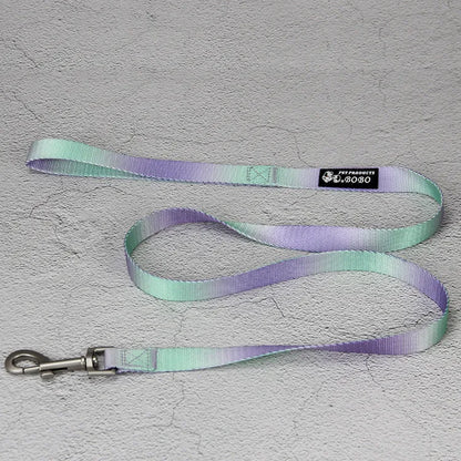 Gradient colour nylon dog leash showing pink-blue colour transition with metal attachment clip
