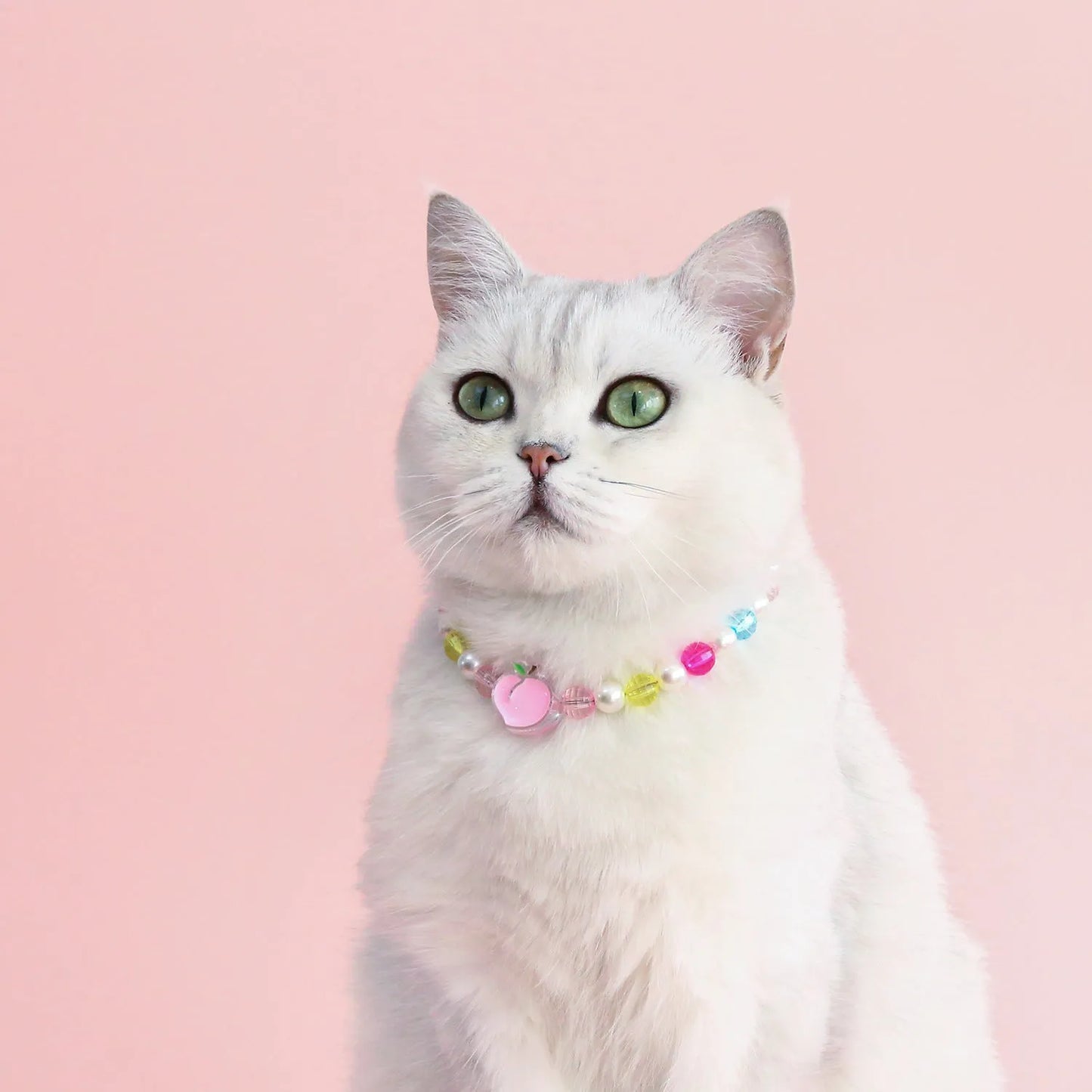 Colourful plastic bead cat necklace with adjustable clasp showing peach, rainbow, and small flower pattern options