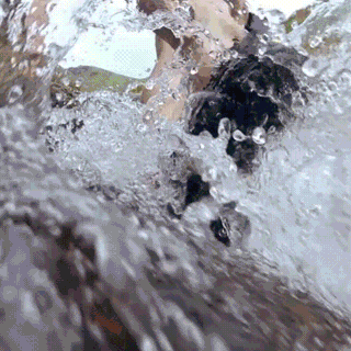 Versatile stretchable cargo pants for men with reinforced stitching, water-repellent properties, and convenient zipper pockets for outdoor adventures